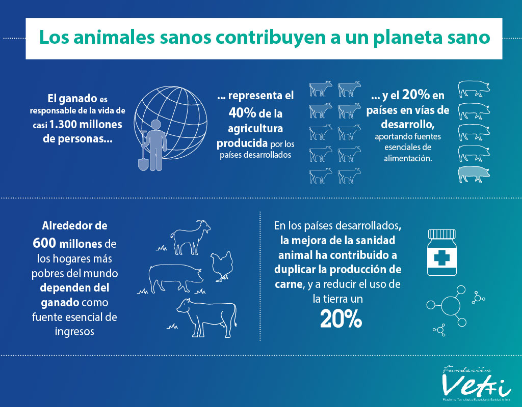 Los animales sanos contribuyen a un planeta sano