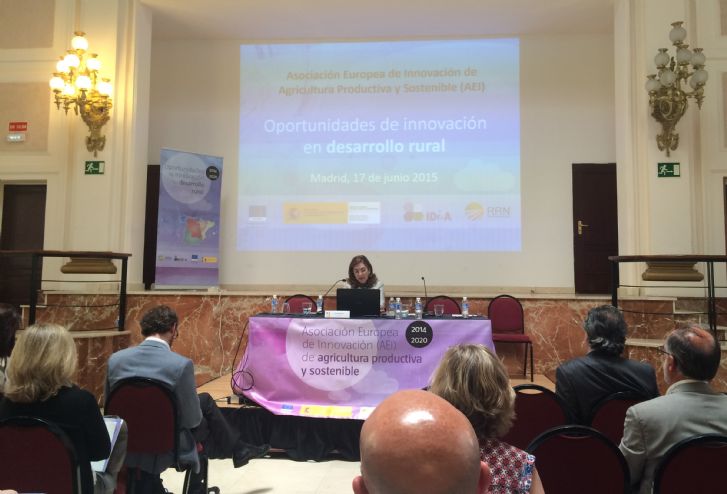 Jornada sobre Oportunidades de innovacin en desarrollo rural 2014-2020, Asociacin Europea de Innovacin, directora general, begoa nieto gilarte