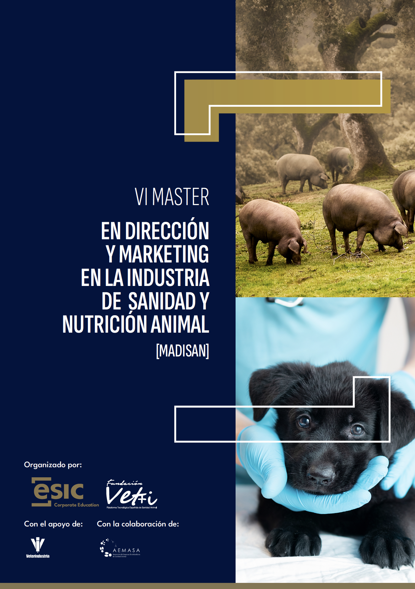 master direccin y gestin industria sanidad animal