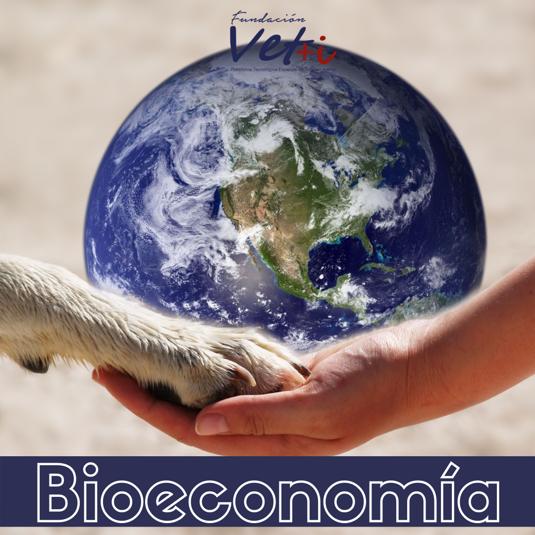 Bioeconoma