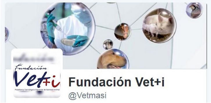 La Fundacin Vet+i, Plataforma Tecnolgica Espaola de Sanidad Animal, ya ha abierto una cuenta twitter bajo el nombre de Fundacin Vet+i y el usuario @Vetmasi.