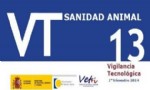 BVT 13