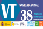 bvt