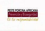 vdeo