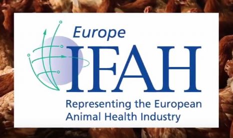 vetmasi, one health, ifah europe