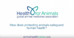 vdeo, vetmasi, human health, nutrition, one health, una salud, zoonosis, vet+i, fundacion, sanidad animal, animal health