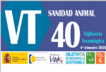 BVT