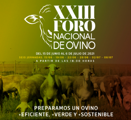 Foro Ovino