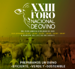 Foro Ovino