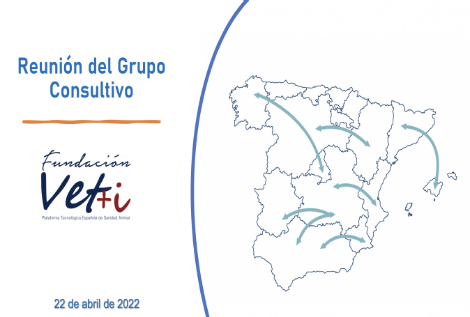 grupo consultivo vetmasi