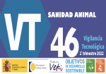 bit segundo trimestre 2022 patentes