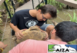 Liza grupo trabajo animales silvestres
