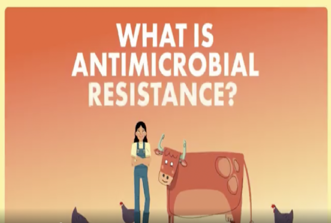 amr