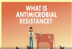 amr