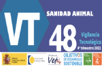 BVT
