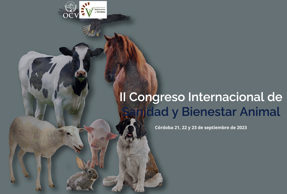 congreso