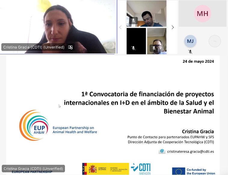 cdti