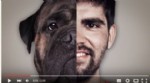 DOS CARAS UNA SALUD, VET+i, sanidad animal