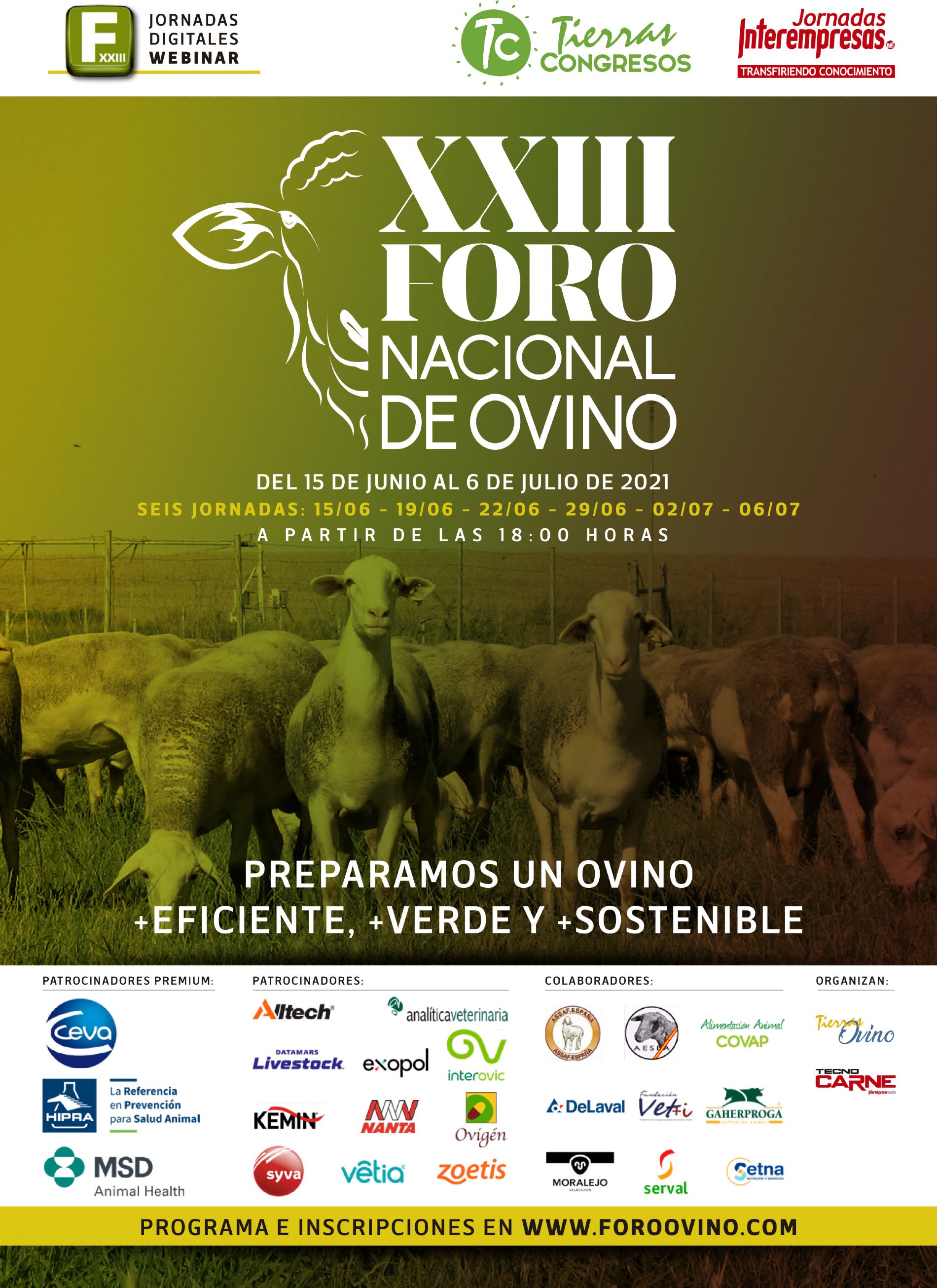 Foro Ovino