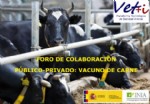 III Foro vacuno carne