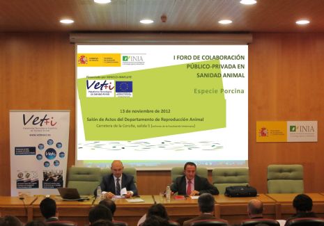 Foro Porcino
