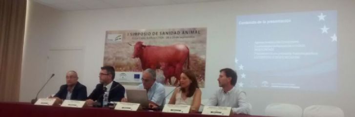 Mesa Redonda