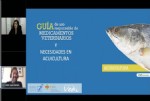 Acui