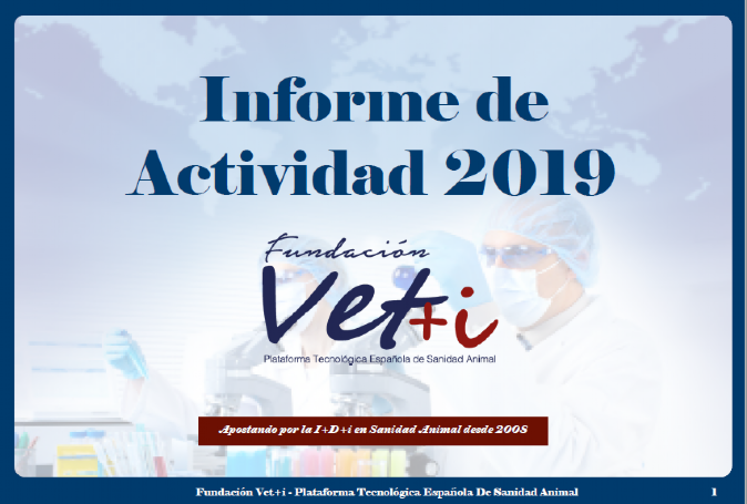 informe 2019