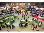 transfiere 2014