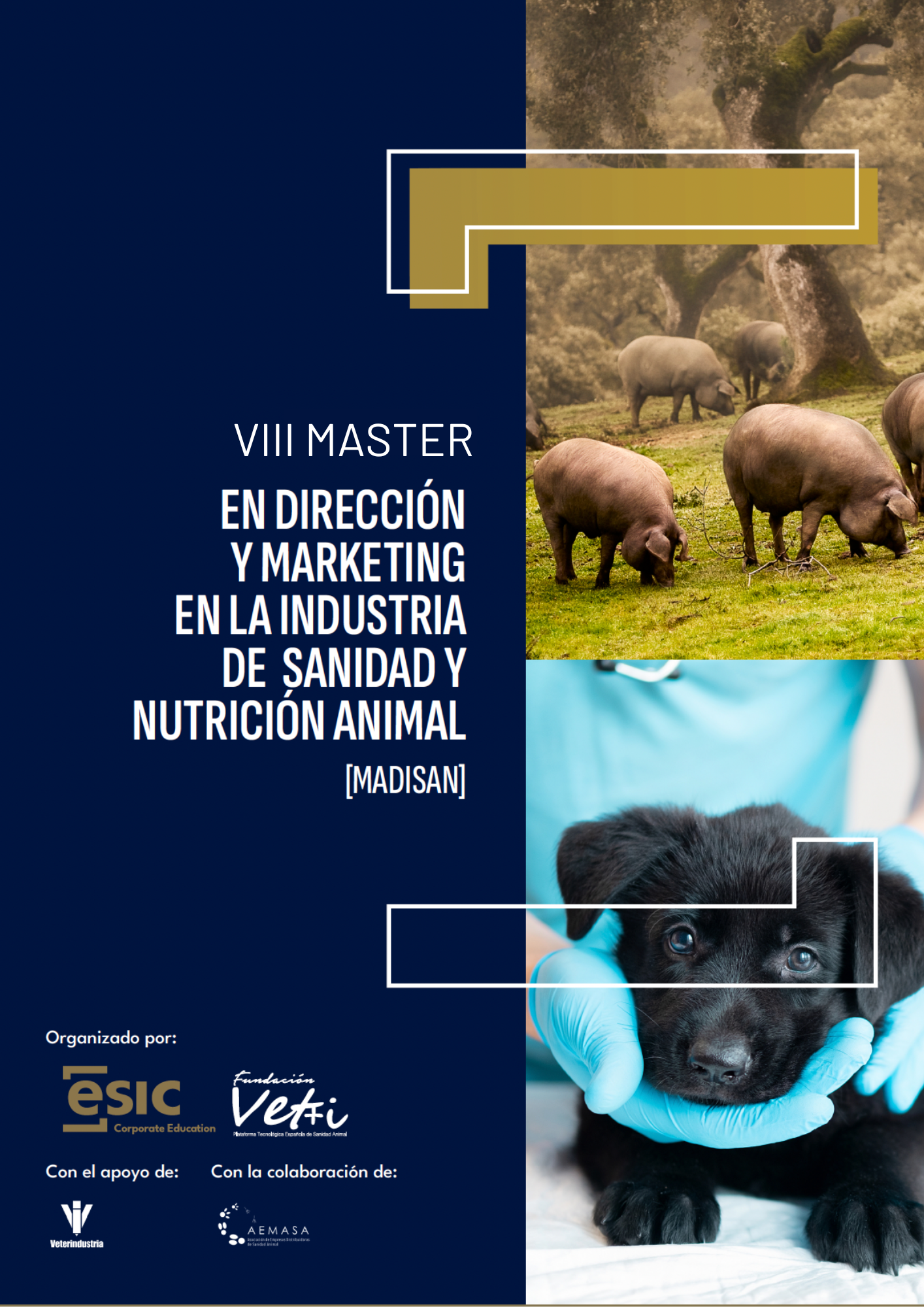master 8