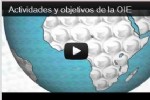 Vdeo OIE