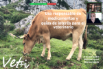 vetresponsable