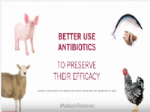 Vdeo de la Organizacin Mundial de la Sanidad Animal (OIE) sobre el uso de los antibiticos