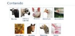 cuarto trimestre sanidad animal patentes, bvt