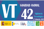 bvt