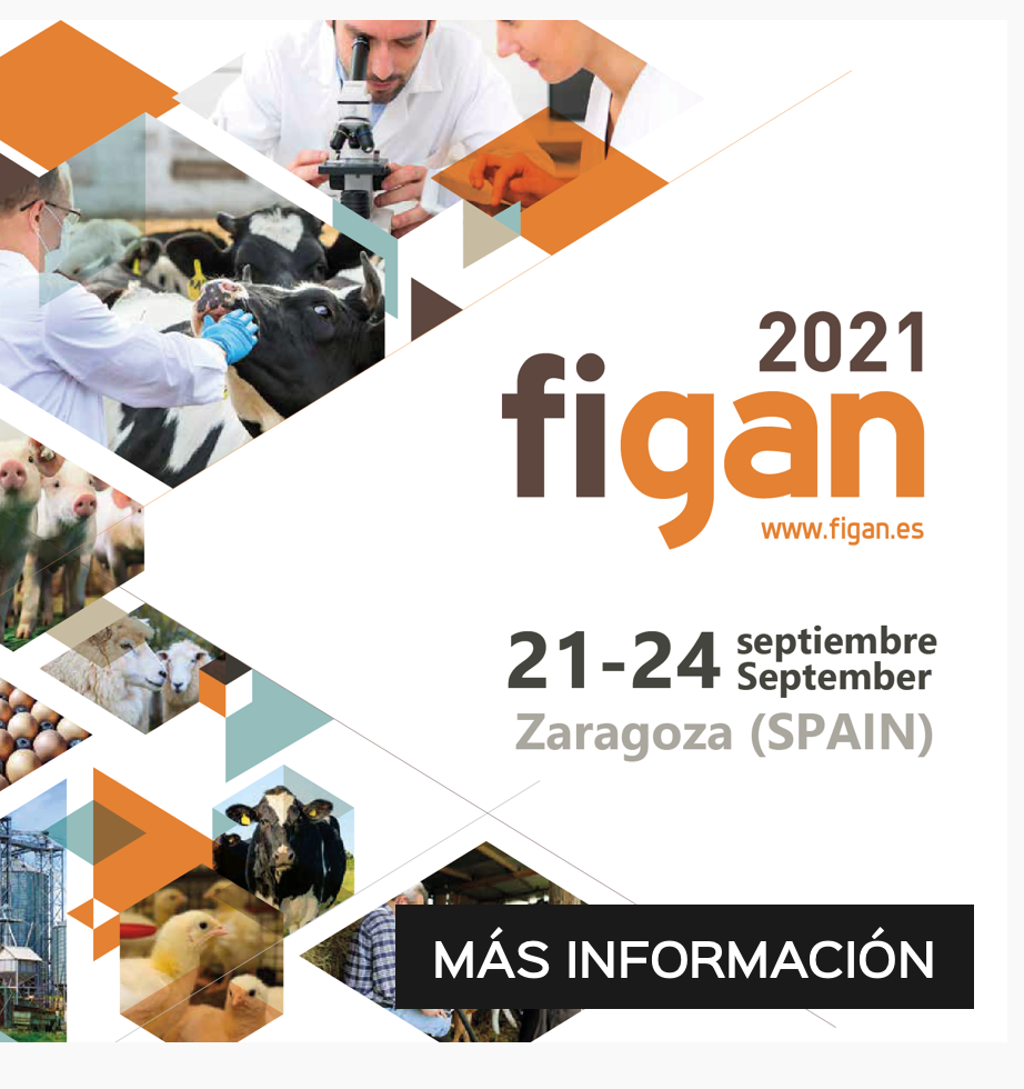 figan 2019