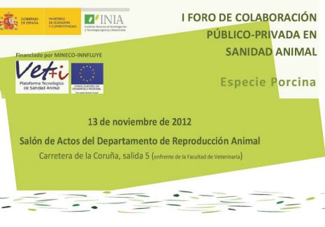 Foro porcino