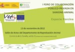 Foro porcino