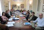 grupo consultivo