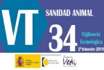 BVT