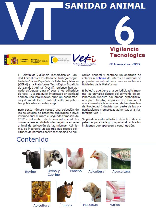 portada bvt 6