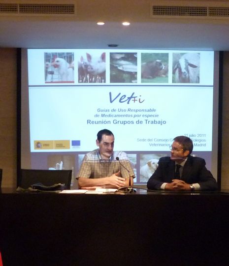 reunin grupos de trabajo guas de uso responsable (eventos)