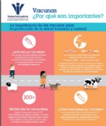 vacunas porque son importantes, vet+i, vetresponsable