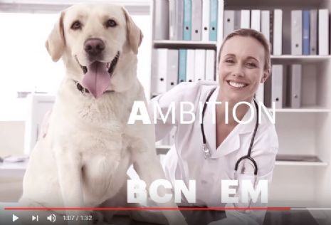 Barcelona presenta su candidatura como sede de la Agencia Europea de Medicamento (EMA), ya que tiene la oportunidad y est preparada para acoger una de las agencias europeas ms importantes y consolidarse como referente mundial en innovacin, industria y