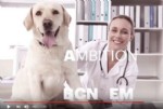 Barcelona presenta su candidatura como sede de la Agencia Europea de Medicamento (EMA), ya que tiene la oportunidad y est preparada para acoger una de las agencias europeas ms importantes y consolidarse como referente mundial en innovacin, industria y