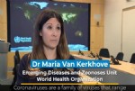 coronavirus