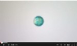 vdeo de I+D+i