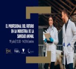 WEBINAR