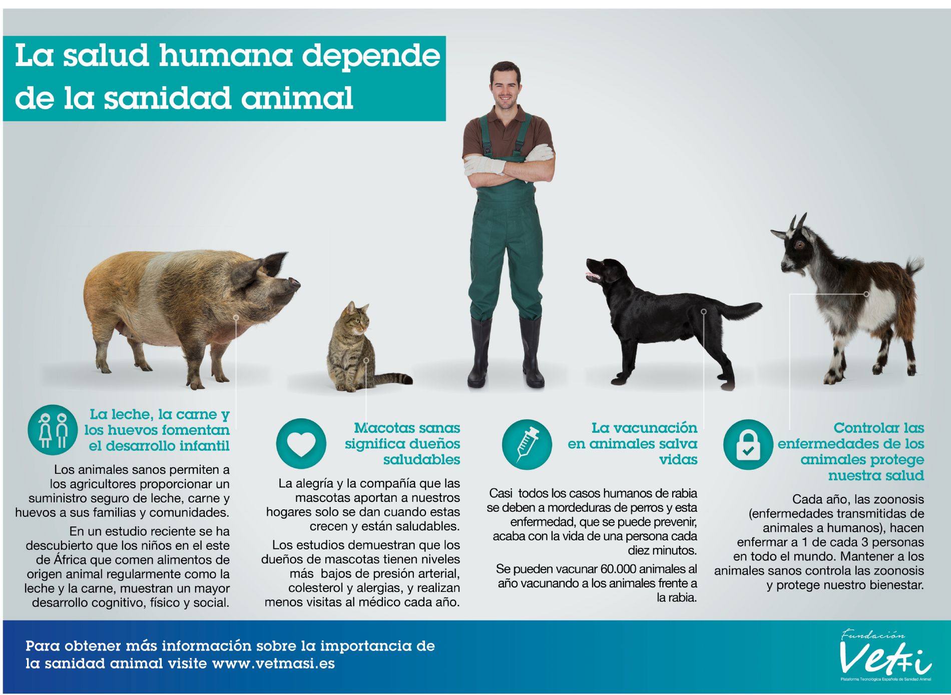salud humana y salud animal