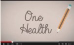 one health, una salud, plataforma vet+i, sanidad animal